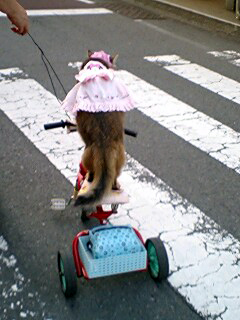 070604_1726`0001.jpg