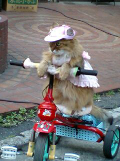 070604_1727`0002.jpg
