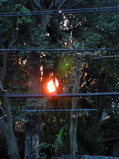 080406_12.jpg