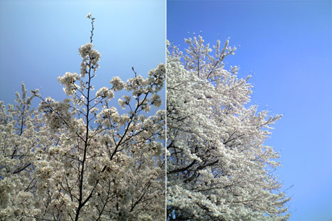 080406_2.jpg