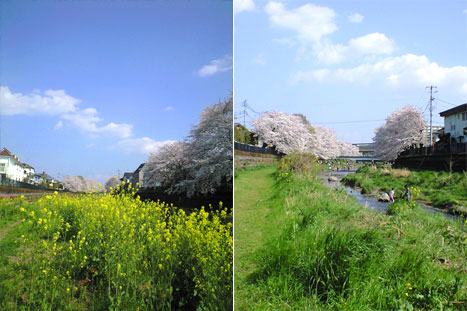 080406_3.jpg