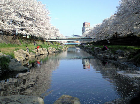080406_7.jpg