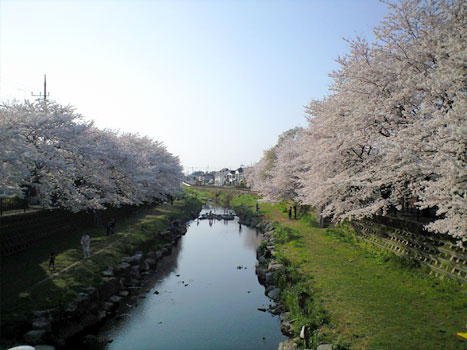 080406_8.jpg