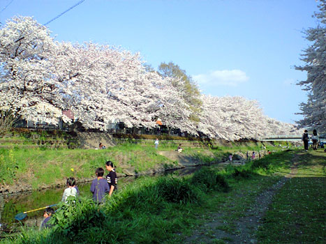 080406_9.jpg