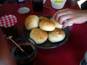 090802.jpg