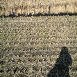 101308_001.jpg
