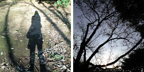 101308_16.jpg