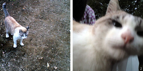 101308_19.jpg