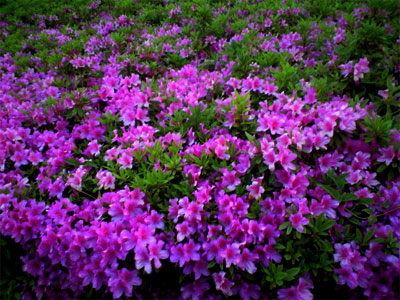 270409_15.jpg