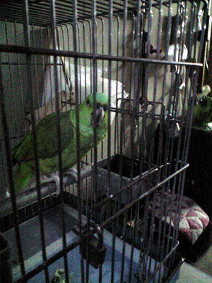 270409_7.jpg