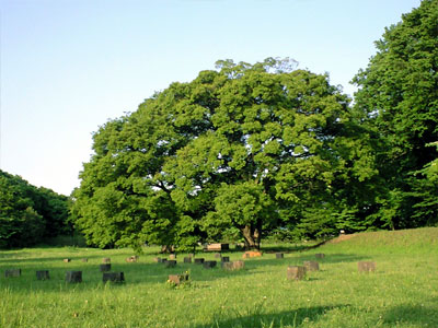 280409_11.jpg