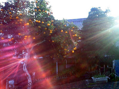 CA390047.jpg