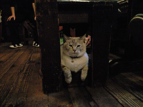 CA390200.jpg
