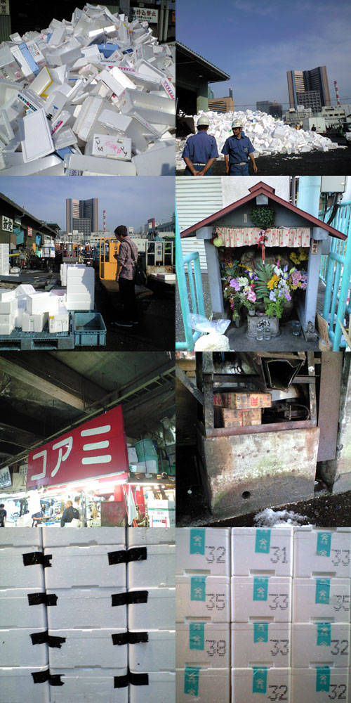CA3902251.jpg