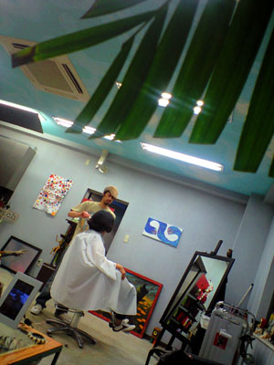 CA390291.jpg