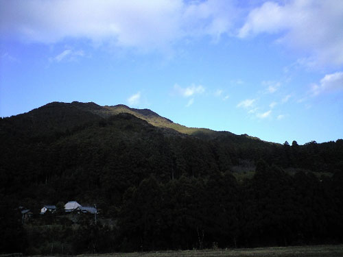 CA390317.jpg