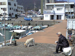 CA390348.jpg