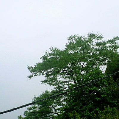 CA390459.jpg