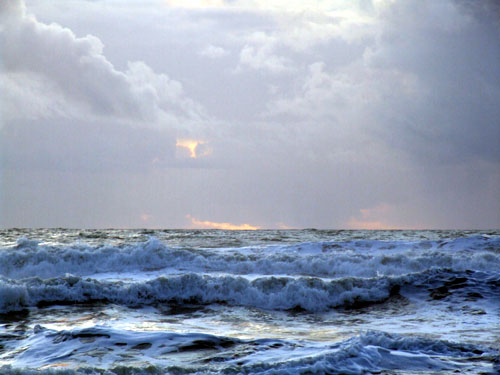 DSCF6505.jpg