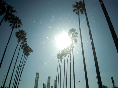 DSCN0121.jpg