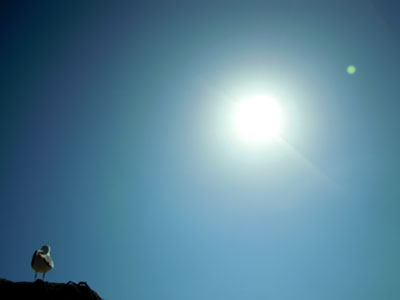 DSCN0240.jpg