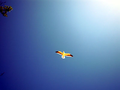 DSCN0293.jpg
