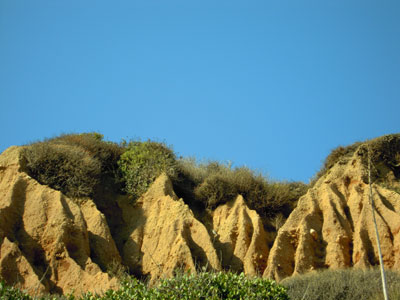 DSCN0302.jpg