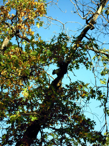 DSCN0615.jpg