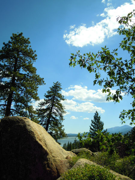 DSCN0674.jpg