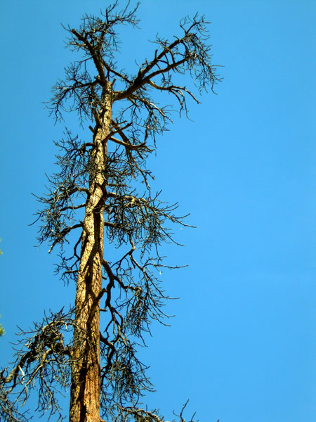 DSCN0696.jpg