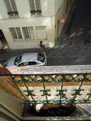 DSCN1203.jpg
