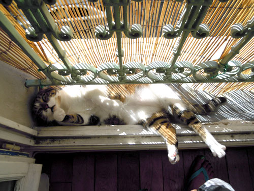 DSCN1208.jpg
