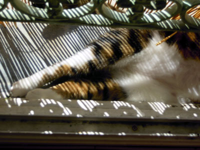 DSCN1212.jpg