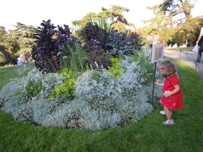 DSCN1855.jpg