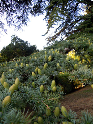 DSCN1873.jpg