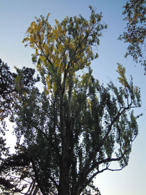 DSCN1880.jpg