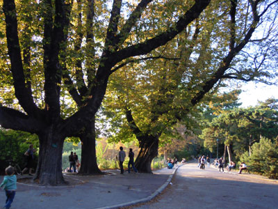 DSCN1881.jpg