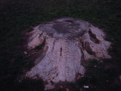 DSCN1898.jpg