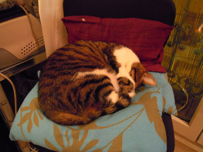DSCN1964.jpg