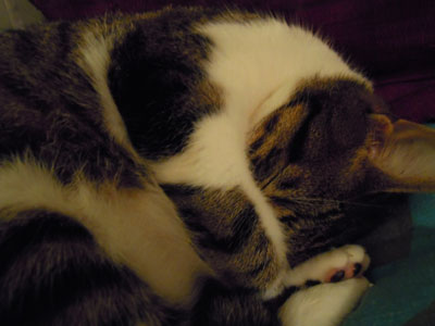 DSCN1966.jpg