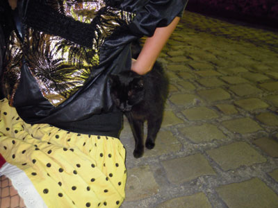 DSCN2003.jpg