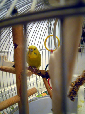 DSCN2165.jpg