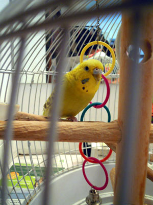 DSCN2166.jpg