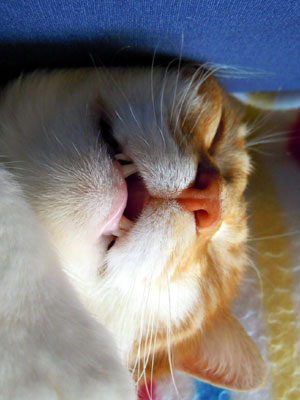 DSCN2497.jpg