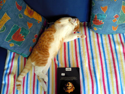 DSCN2501.jpg