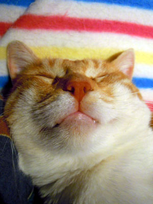 DSCN2515.jpg