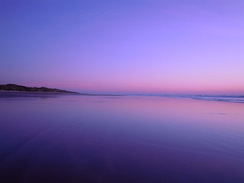 DSCN2640.jpg