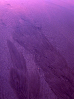 DSCN2656.jpg