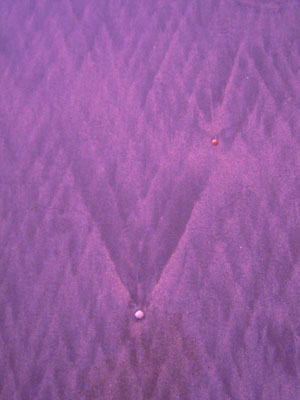 DSCN2657.jpg