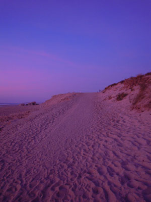 DSCN2669.jpg